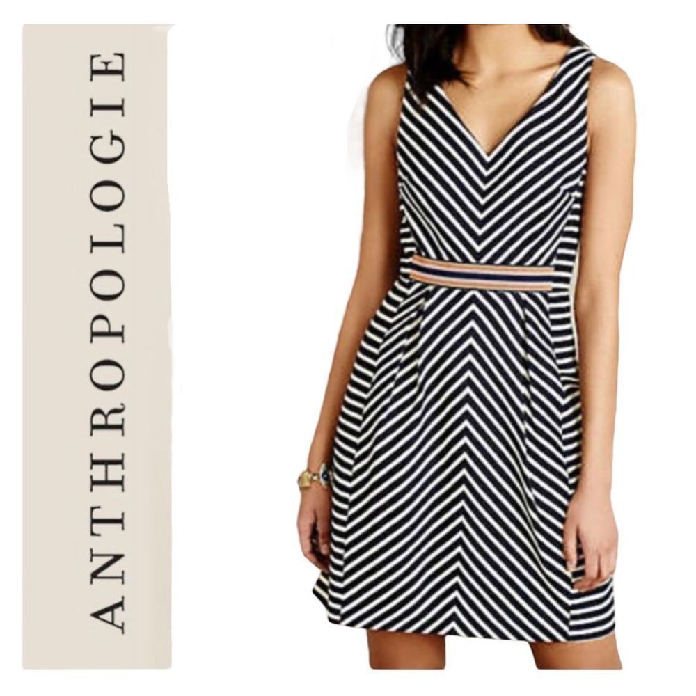 Anthropologie Blue and White Fit and Flare Mini Dress